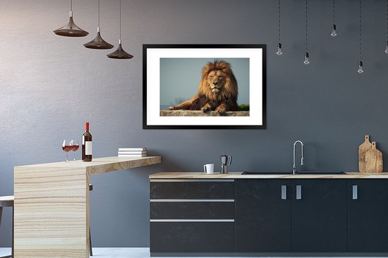 Lion couché 90x60 cm