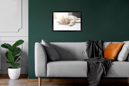 Chat dort sur un lit 30x20 cm - petit