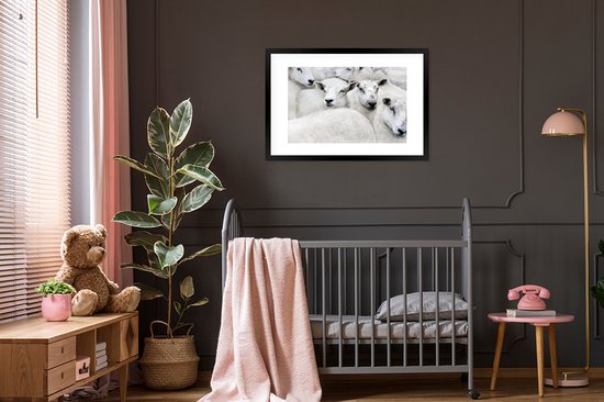 Cadre photo avec affiche - Mouton - Animaux - Ferme - 90x60 cm - Cadre pour affiche