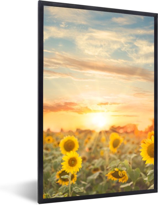Fotolijst Incl Poster Zonnebloem Zon Bloemen 40x60 Cm fotolijst-incl-poster-zonnebloem-zon-bloemen-40x60-cm