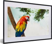 Cadre photo avec affiche - Perroquet - Vogel - Arc-en-ciel - Tropical - 60x40 cm - Cadre pour affiche