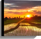 Canvas - Zonsondergang bij de Rijstvelden in Indonesië - 30x30 cm Foto op Canvas Schilderij (Wanddecoratie op Canvas)