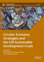 Sustainable Development Goals Series - Circular Economy Strategies and the UN Sustainable Development Goals