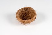 Remède au nid de noix de coco
