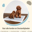Afbeelding nummer  11