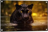 Tuinposter – Zwarte panter loopt door water heen in de natuur met een oranje gloed - 75x50 cm Foto op Tuinposter (wanddecoratie voor buiten en binnen)