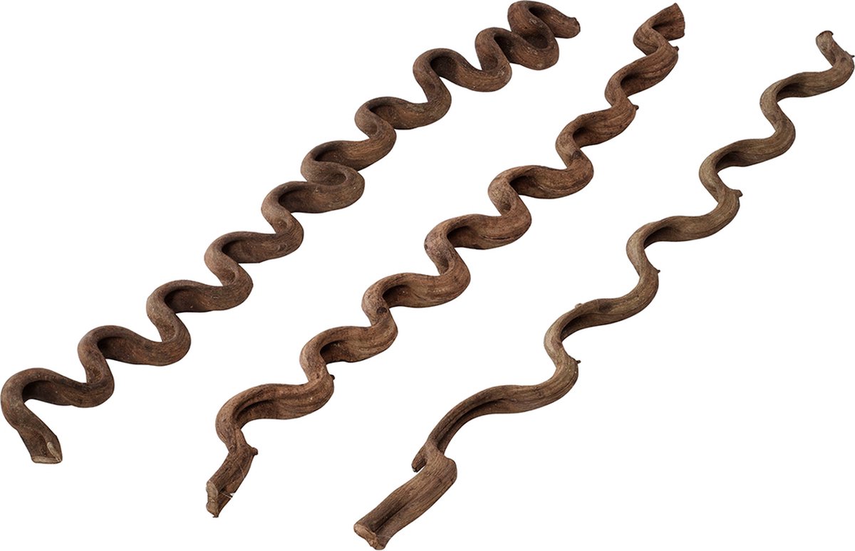 Terra Della - Natuurlijke Decoratie - Reptielen - Lianen Ml - 115cm - 1st