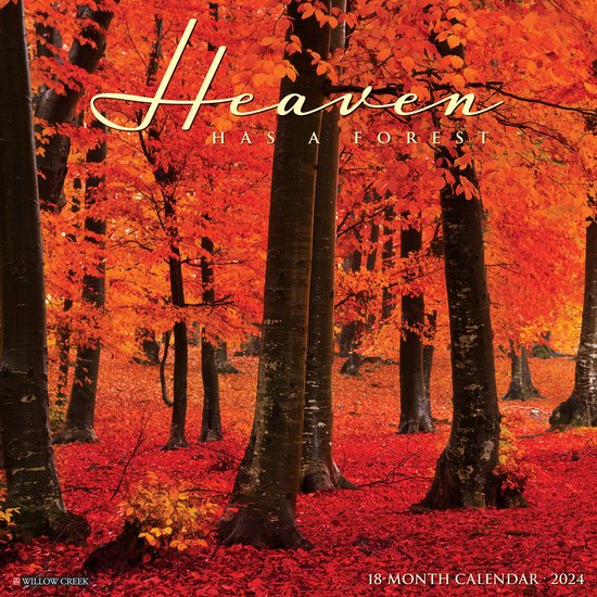 Heaven Has a Forest 2024 12 X 12 Wall Calendar, Willow Creek