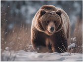 Poster Glanzend – Bruine beer loopt door de natuur in de sneeuw - 40x30 cm Foto op Posterpapier met Glanzende Afwerking