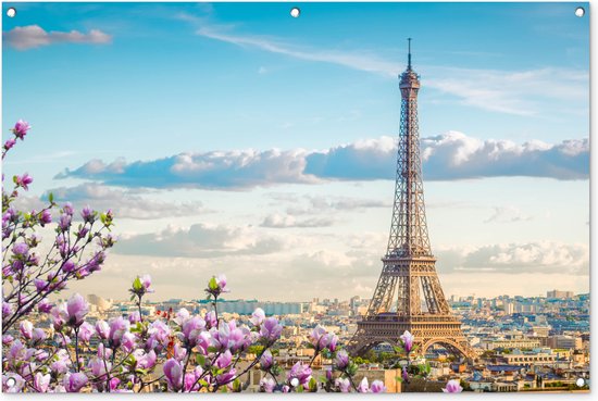 Eiffeltoren - Bloesem - Lente