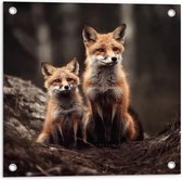 Tuinposter – Moeder vos en kind zitten in een bos - 50x50 cm Foto op Tuinposter (wanddecoratie voor buiten en binnen)