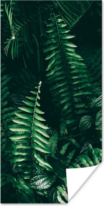 Poster Bladeren - Jungle - Natuur - Tropisch - Planten - 80x160 cm - Kerstversiering - Kerstdecoratie voor binnen - Kerstmis