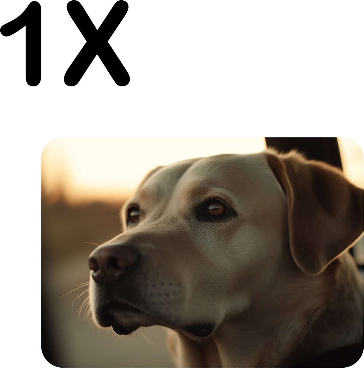 BWK Stevige Placemat - Retriever Hond Kijkt in de Verte - Set van 1 Placemats - 40x30 cm - 1 mm dik Polystyreen - Afneembaar