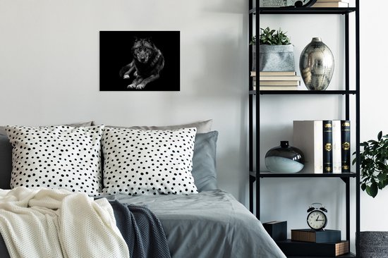 Fotolijst incl. Poster - Dieren - Wolf - Zwart - Wit - Portret - 40x30 cm - Posterlijst