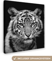 Peintures sur toile - Portrait Sumatra Tiger Cub - noir et blanc - 50x50 cm - Décoration murale