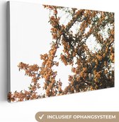 Canvas Schilderij Bloemen - Takken - Natuur - 30x20 cm - Wanddecoratie