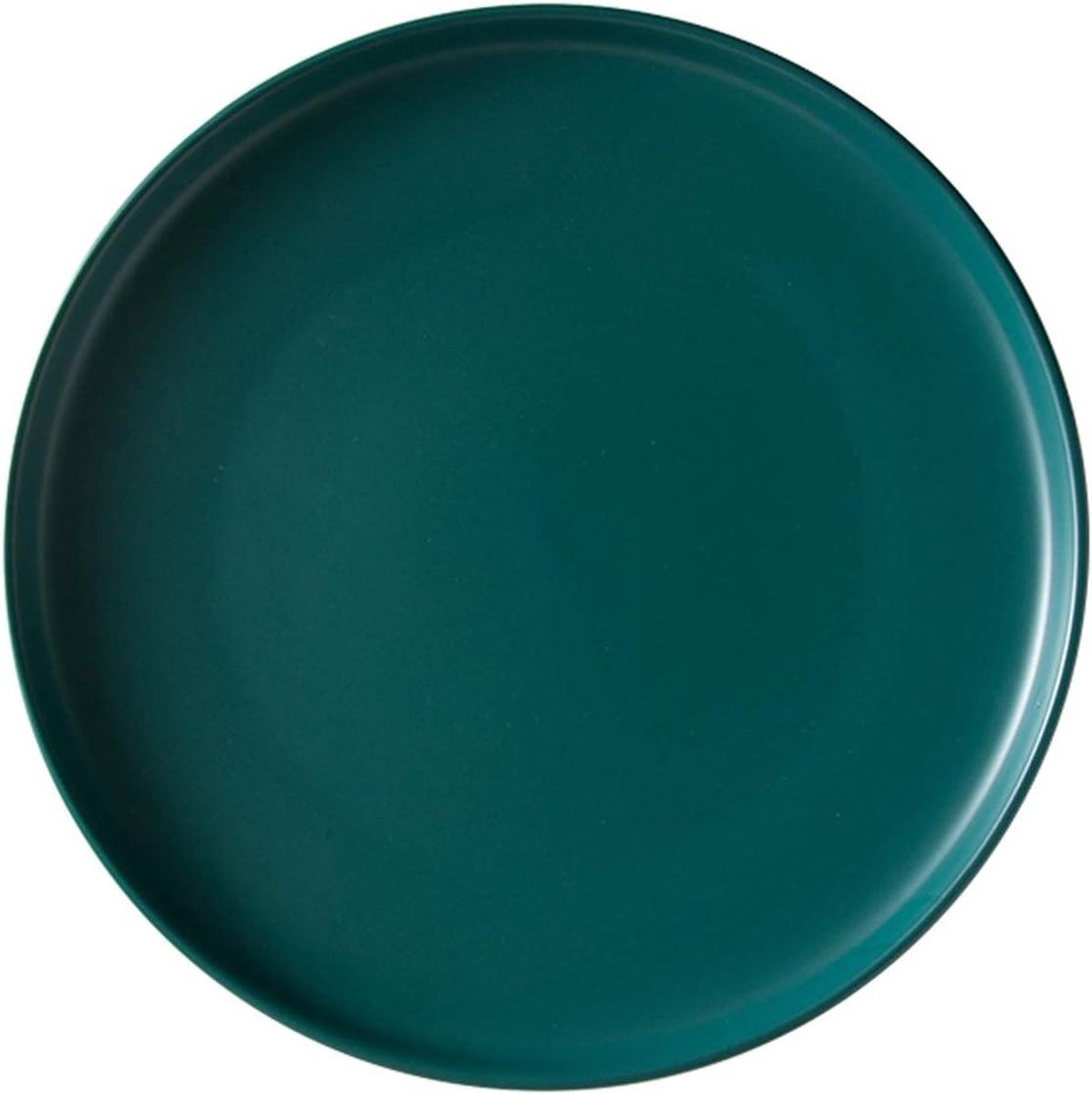 Dinerbord - Salade bord - Hoofdgerecht serveren - Vaatwasmachinebestendig - Klein formaat - Mat