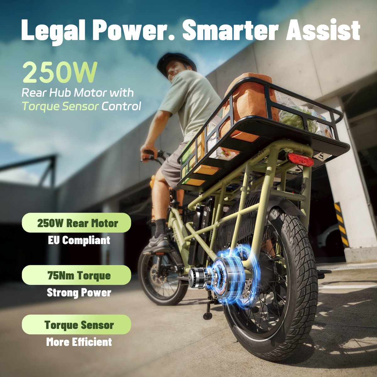 FAFREES 20 inch elektrische fiets met kinderzitjes – E-fiets – E-Bakfiets24Ah accu – maximaal 200kg draagvermogen – max 25km/u – tot 140km – voor gezinsuitjes en dagelijkse boodschappen –Zwart thumbnail 5