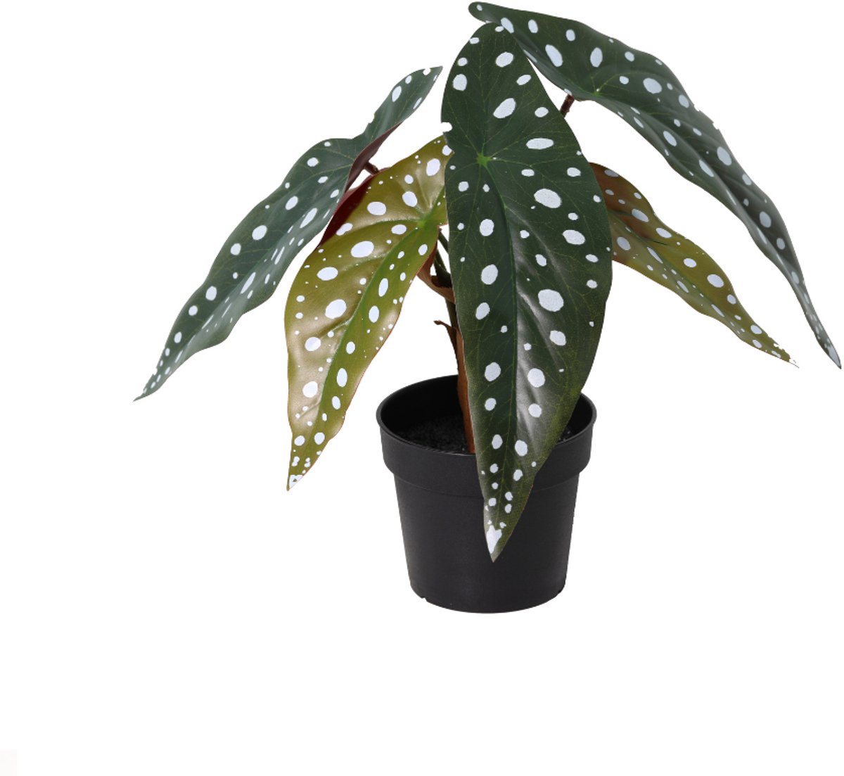 Trendyplants - Kunst Begonia Maculata - Stippenbegonia - Kunstplant - Hoogte 24cm - Potmaat Ø9cm