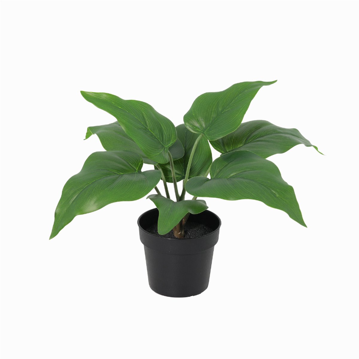 Trendyplants - Kunst Philodendron Imperial Green - Philodendron - Kunstplant - Hoogte 25cm - Potmaat Ø9cm