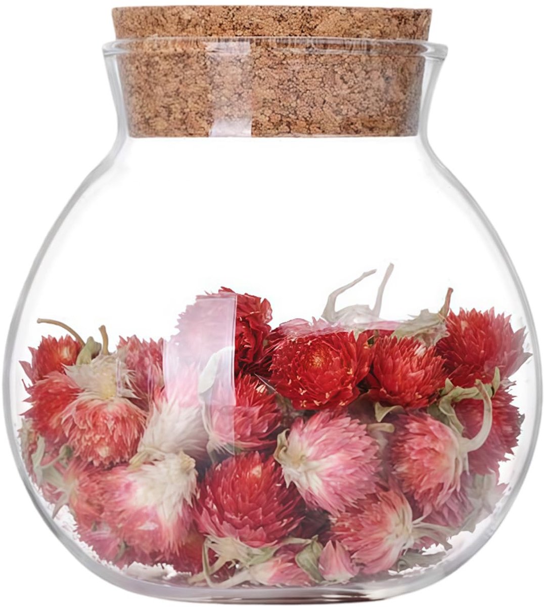Dailygoods- Opslagpot 500ml - Dichte Deksel - Glazen Pot - Kruid/Specerij/Bonen - Transparant - Hoogwaardige Boro-silicaatglas - Glasfles