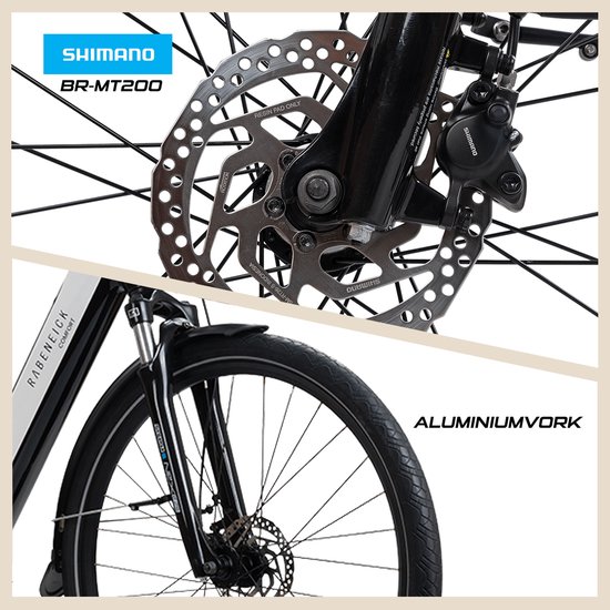 Rabeneick Comfort elektrische Stadtfiets 28 inch, elektrische fiets, stadsfiets, middenmotor 75 Nm, pedelec met 36V 14,5Ah accu, 522Wh, maximaal 150 km bereik champagnegoud — afbeelding 2