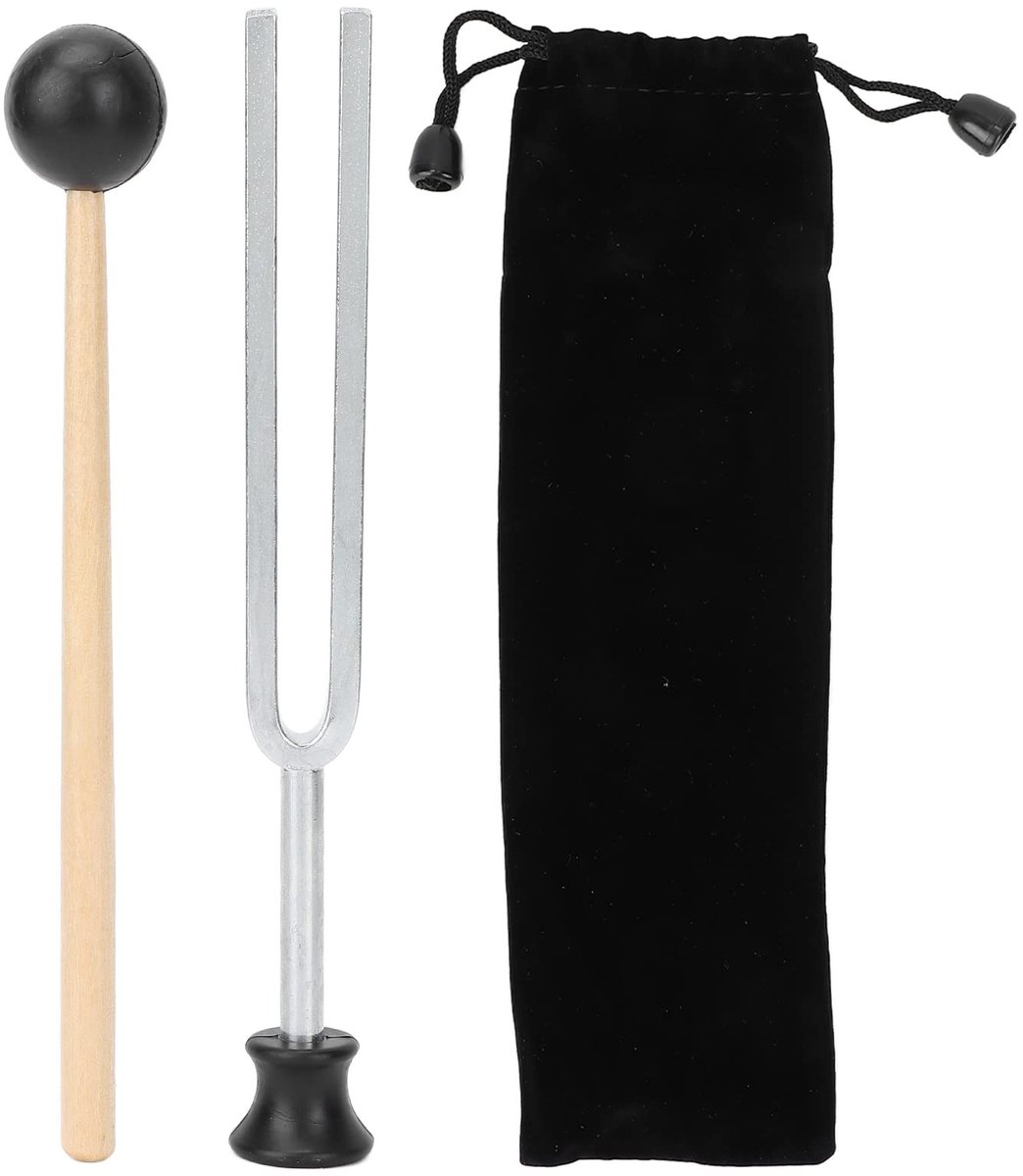 Dailygoods- Stemvork 256 Hz - Roestvrijstalen Resonante Stemset - Opbergtas - Muzikaal Instrument - Gezondheid - Hoogwaardige Kwaliteit - Geluidsinstrument