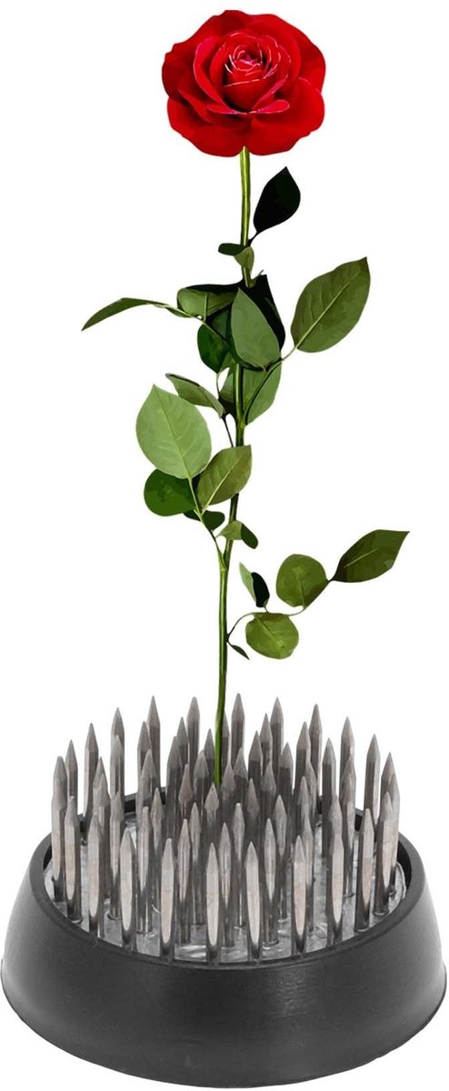 Dailygoods- Bloemenkikker - Roestvrij Staal - Kikker met Pen 34 mm - Bloemstukken - Tafelopzetstukken - Duurzaam Ontwerp - Bloemschikmateriaal