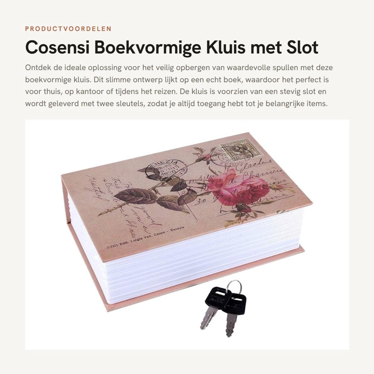 Dailygoods- Geldkist Boekvormig - Veiligheidswoordenboek - Met Sleutel - Afmetingen 18 x 11,5 x 5,5 cm - Voor Contant Geld/Sieraden - Eenvoudig Ontwerp - Opbergkluis