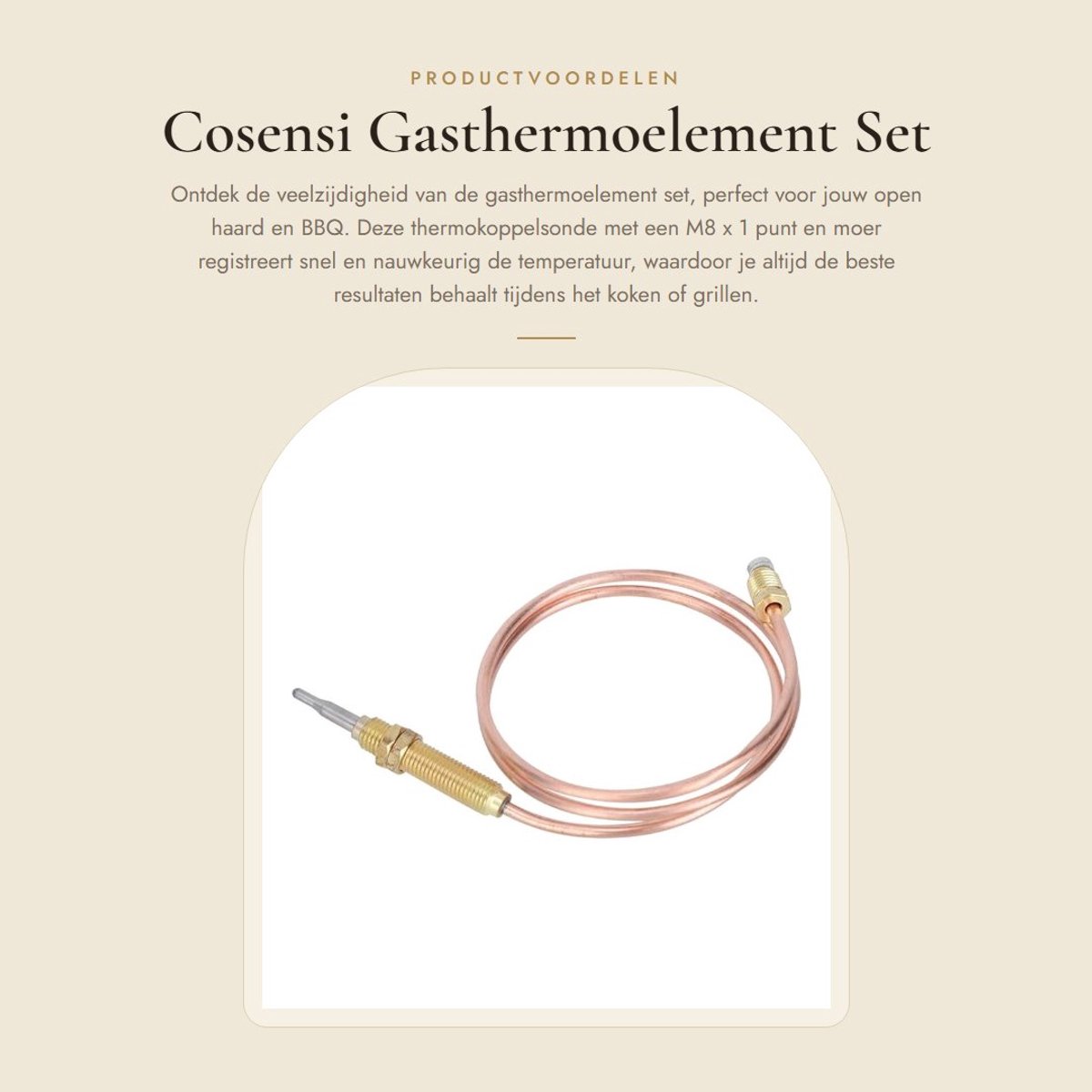 Dailygoods- Gasthermoelement Set met M8 x 1 Punt - Thermokoppel Sonde - Voor Open Haard - BBQ / Barbecue - Hoogwaardige Aansluitstekkers - Snelle Temperatuurregistratie