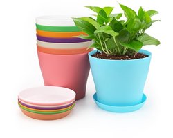 Dailygoods - Dailygoody - Kleurrijke Plantenbakken Set - ...