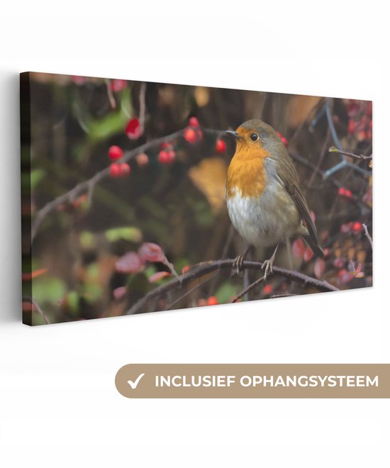 Canvas schilderij 80x40 cm - Wanddecoratie Takken - Roodborstje - Natuur - Muurdecoratie woonkamer - Slaapkamer decoratie - Kamer accessoires - Schilderijen op canvas