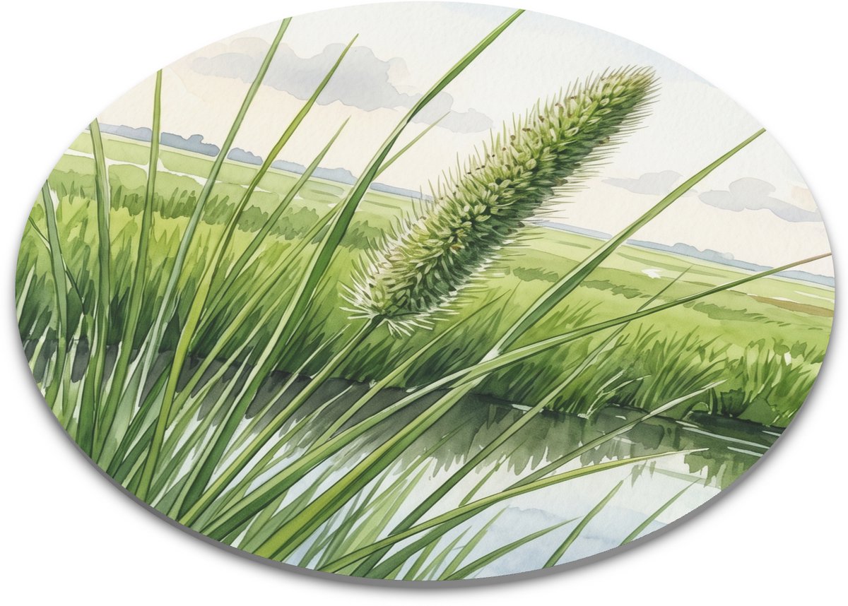 Ronde muismat Aquarel Series detail illustratie Knolvossenstaart Alopecurus bulbosus botanische waterverf print van wilde grassoort in kustlandschap sfeervolle bureau inrichting cadeau voor natuurliefhebber 22x22 cm