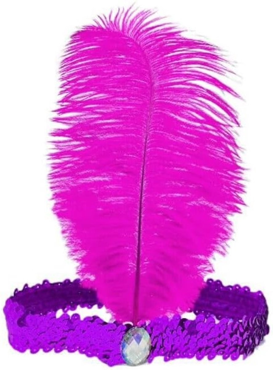 Vintage Feathers Hoofdband met Pailletten en Kristallen voor 1920s Gatsby Kostuum en Carnaval Feestaccessoires voor Dames en Meisjes