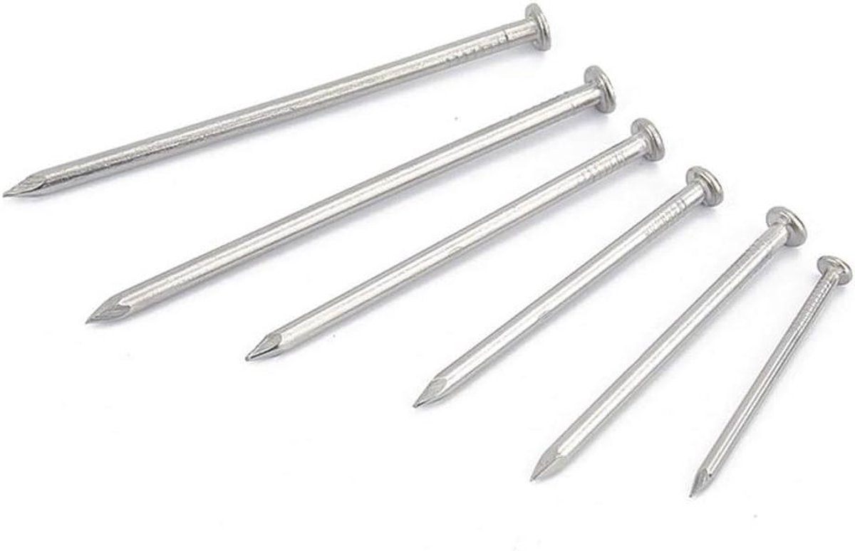 Roestvrijstalen spijkers - Houtbewerkingsnieten - Kasten monteren - Uitstekende roestbestendigheid - 6 Inch 150mm - Zilverkleurig
