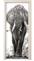 Deurposter 90x205 cm - Deursticker Olifant - Portret - Dieren - Zwart wit - Meubelfolie zelfklevend - Deurfolie woonkamer - Interieurfolie fotobehang - Deur plakfolie - Deurstickers - Deurbehang sticker - Kamer decoratie