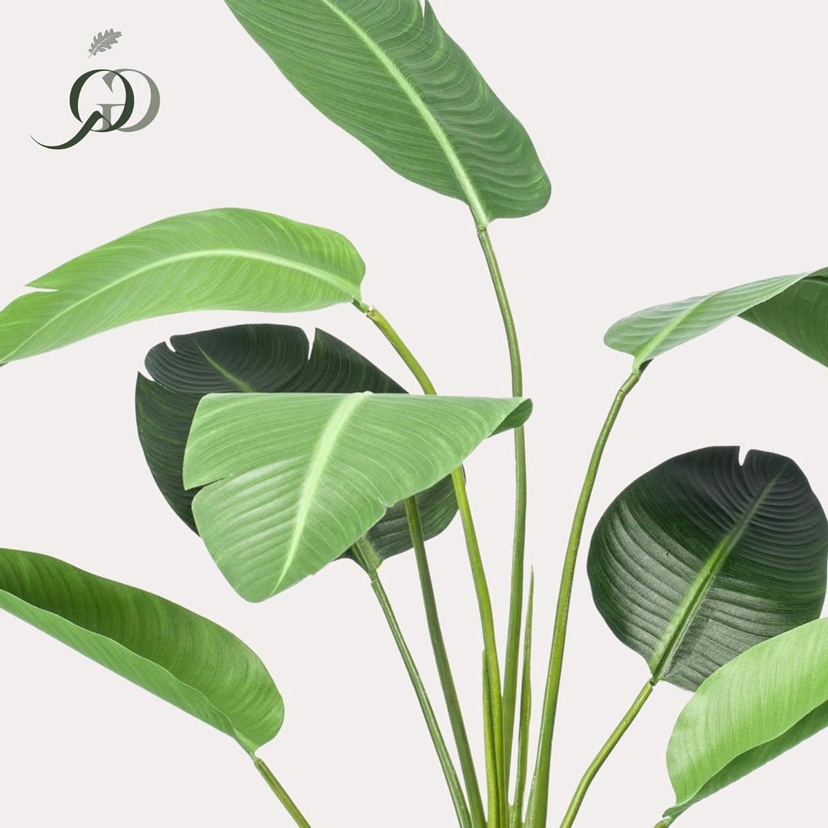 Kunstplant Strelitzia - Paradijsvogelbloem Nep - Interieur Decoratie - Onderhoudsvrij Groe