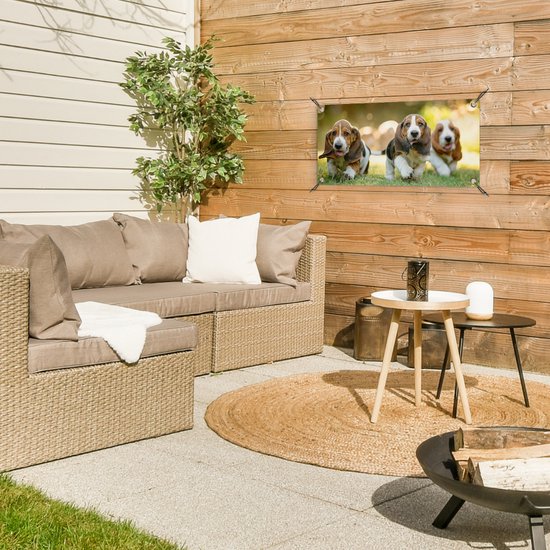 Poster de jardin Les chiots courent dans l'herbe - 60x30 cm - Toile de jardin - Poster extérieur