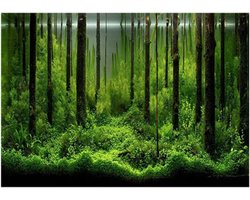 Onderwater Forest Achtergrond Poster voor Aquarium, Zelfklevend PVC Decoratie, 122x46 cm