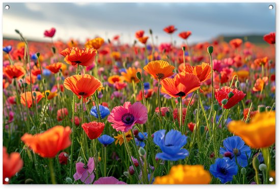 Tuinposter klaprozen - Tuindecoratie bloemen - 120x80 cm - Tuindoek - Muurdecoratie voor buiten - Schuttingposter - Tuinschilderijen - Tuinwanddecoratie klaproos - Tuinposters