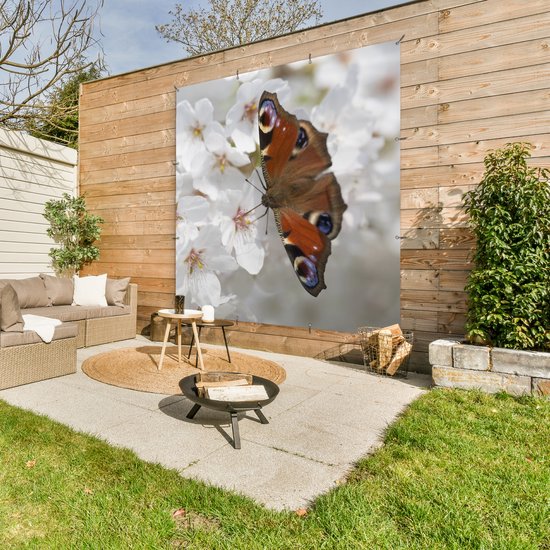 Poster Jardin Papillon paon sur fleur de cerisier - 200x200 cm - Toile jardin - Poster extérieur
