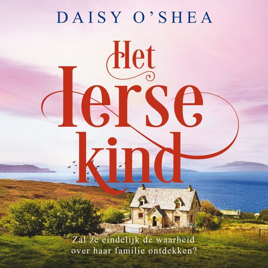 Het Ierse kind - cover
