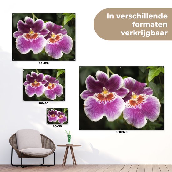 Décoration de Jardin Orchidée sauvage - 40x30 cm - Toile de jardin