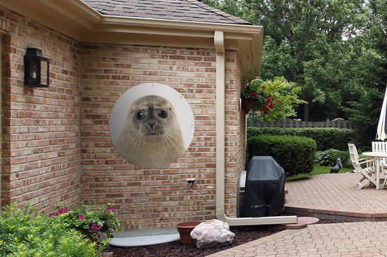 Garden Circle Garçons - Phoque - Enfants - Filles - Animaux - 90x90 cm - Affiche Ronde de Jardin - Extérieur