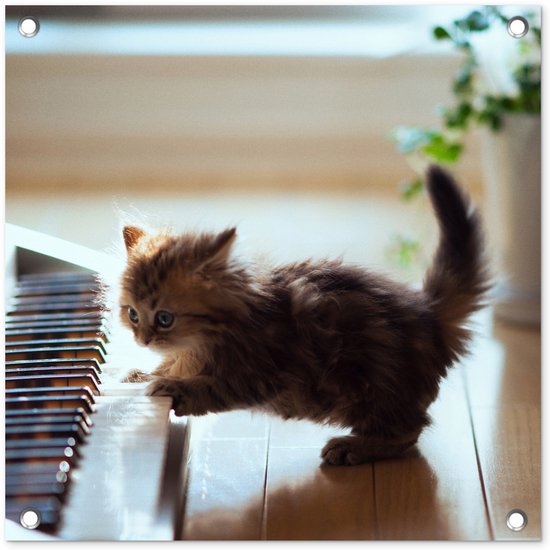 Tuinposter 50x50 cm - Tuindecoratie Kitten - Piano - Dieren - Poster voor in de tuin - Buiten decoratie - Schutting tuinschilderij - Tuindoek muurdecoratie - Wanddecoratie balkondoek