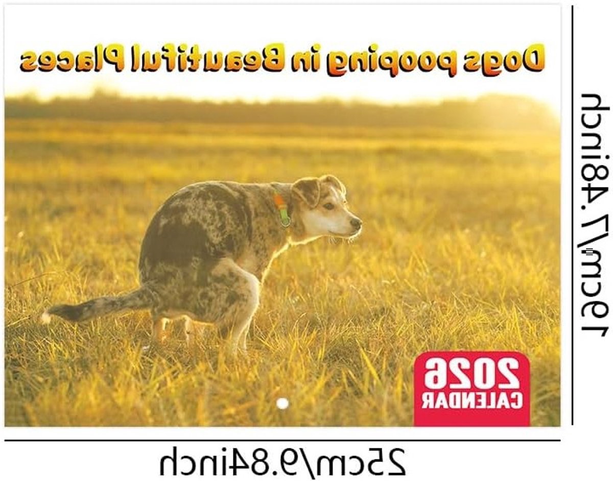 Grappige Honden Kalender 2026 met Poepende Honden op Mooie Locaties, Dieren Kalender met Humor en Plezier