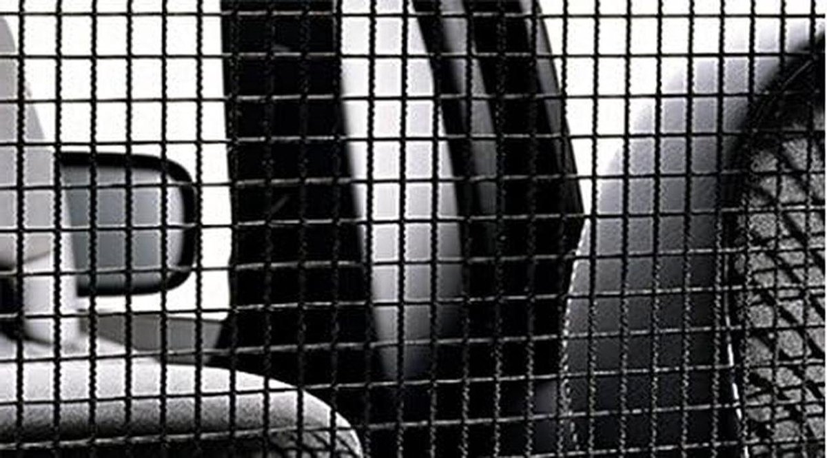 Veiligheidsnet Nylon - Bagage Net - Veilig Vervoer - Vierkant Patroon - 100 Centimeter - Zwart