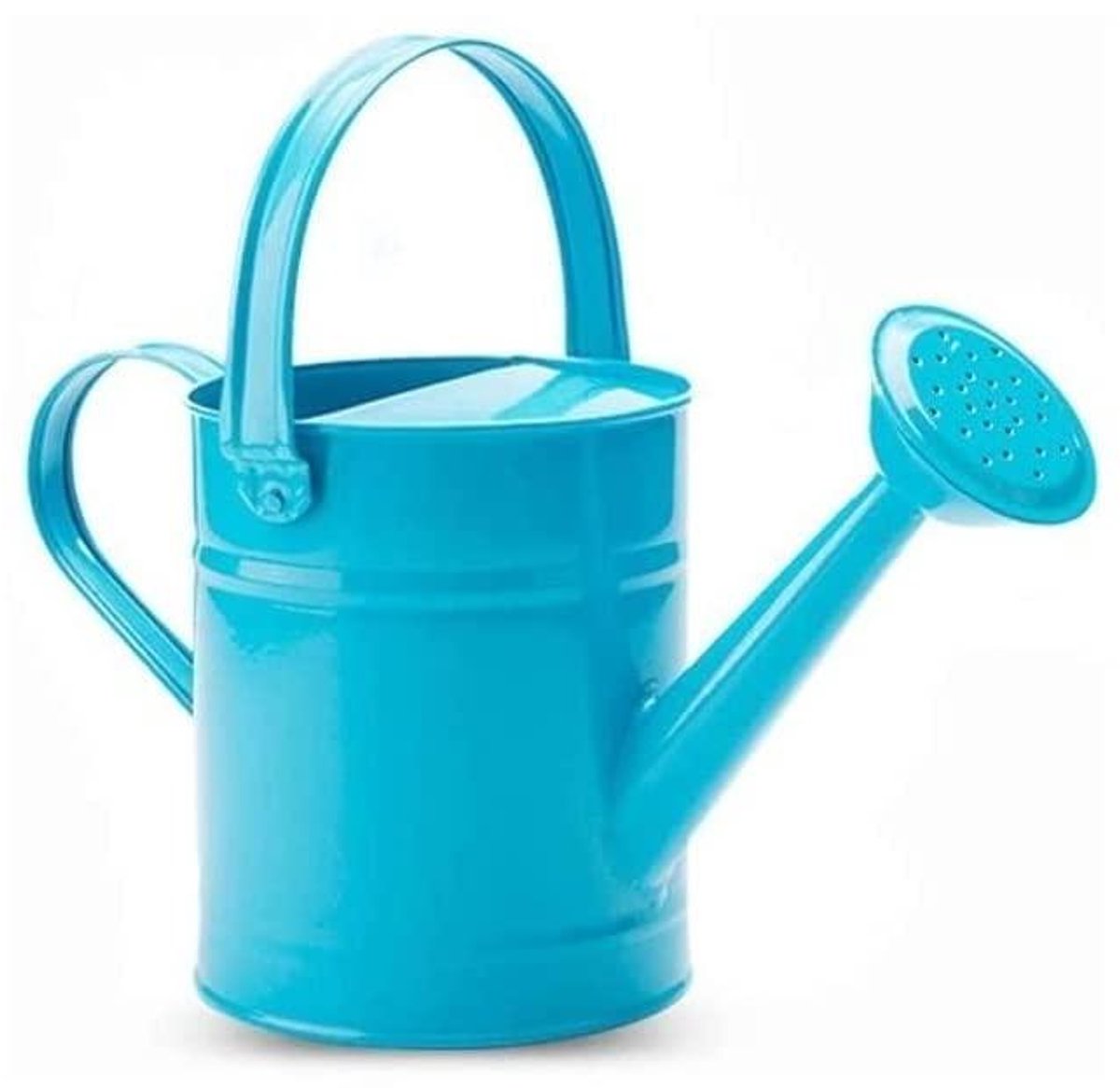 Kleine Gieter - Waterkannetje Planten - Binnen Bewateren - Extra Lange Tuit - 100 Gram - Blauw