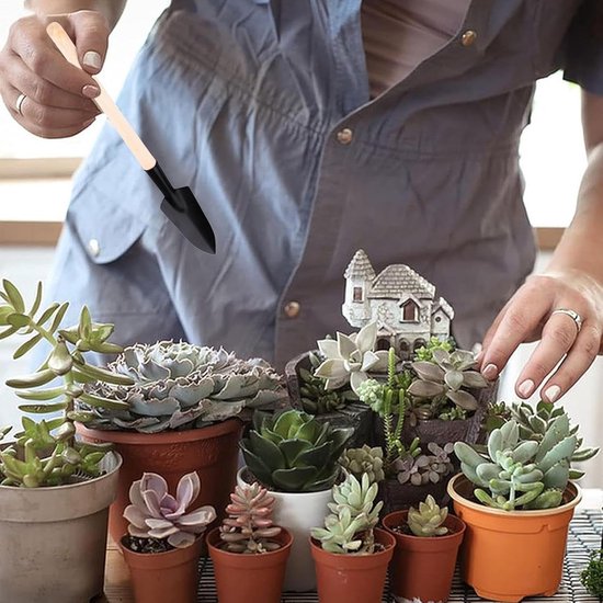 Mini Tuinset - Succulent Gereedschap - Kleine Planten Verzorgen - Ergonomische Houten Handgreep - 21.4 cm - Uniek — afbeelding 3
