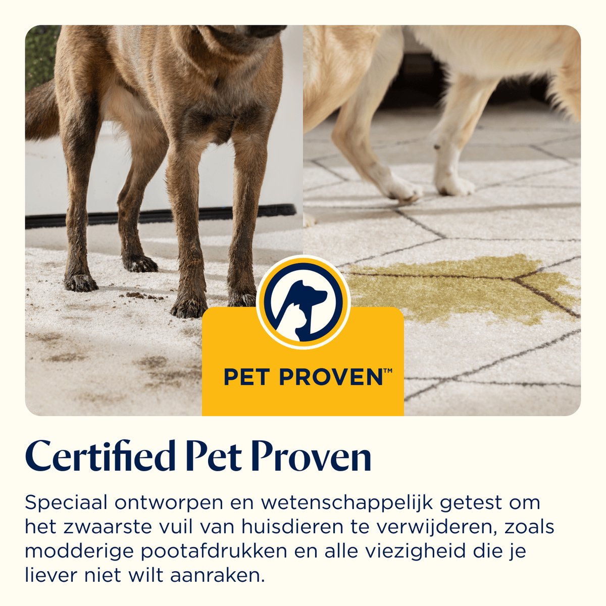 BISSELL SpotClean Auto Pro Select Draagbare Vlekkenreiniger - 3730N thumbnail 5